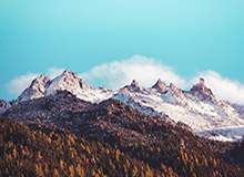 开云在线——以信任为翼，开启无界在线新体验