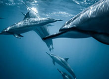 KaiyunSports开启运动新纪元的品牌故事